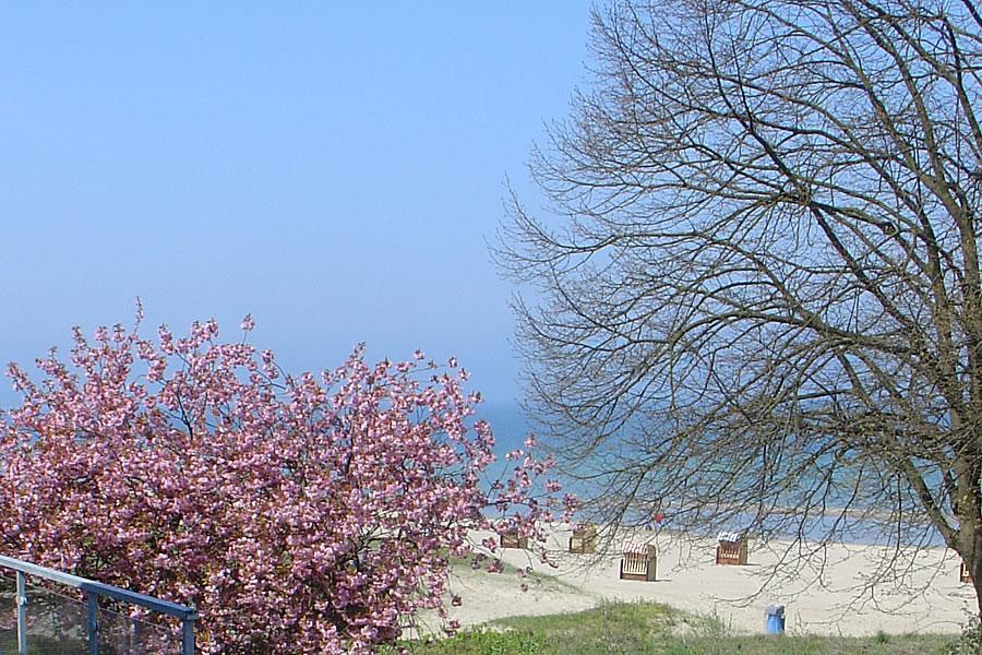 Villa Hansa Am Meer Timmendorfer Strand Exterior photo